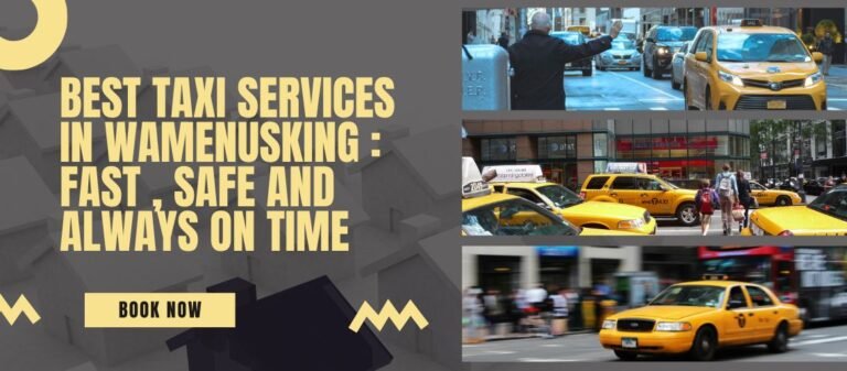 Best Taxi Services in Wamenusking