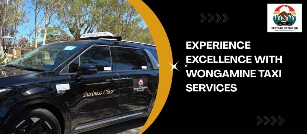 Minnivale Taxi Service