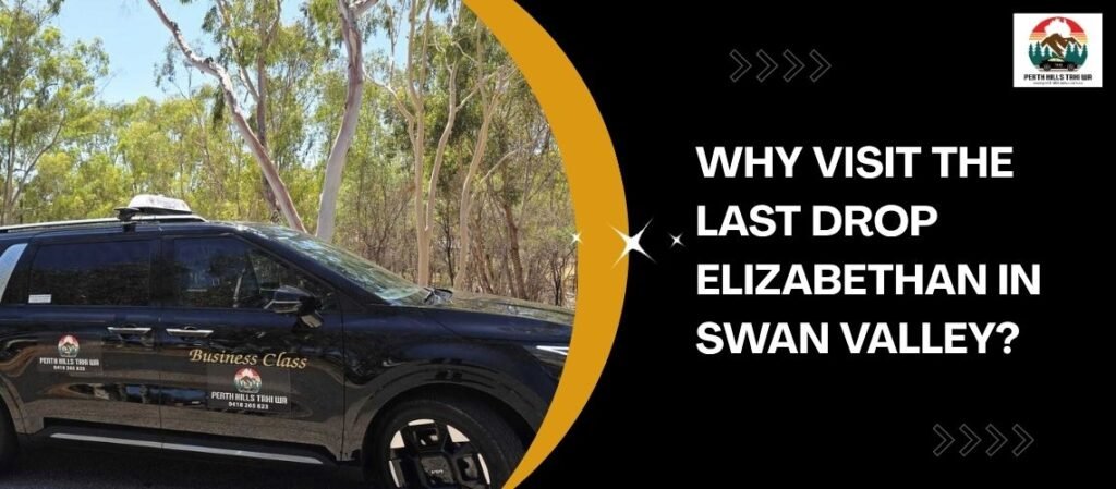 Last Drop Elizabethan