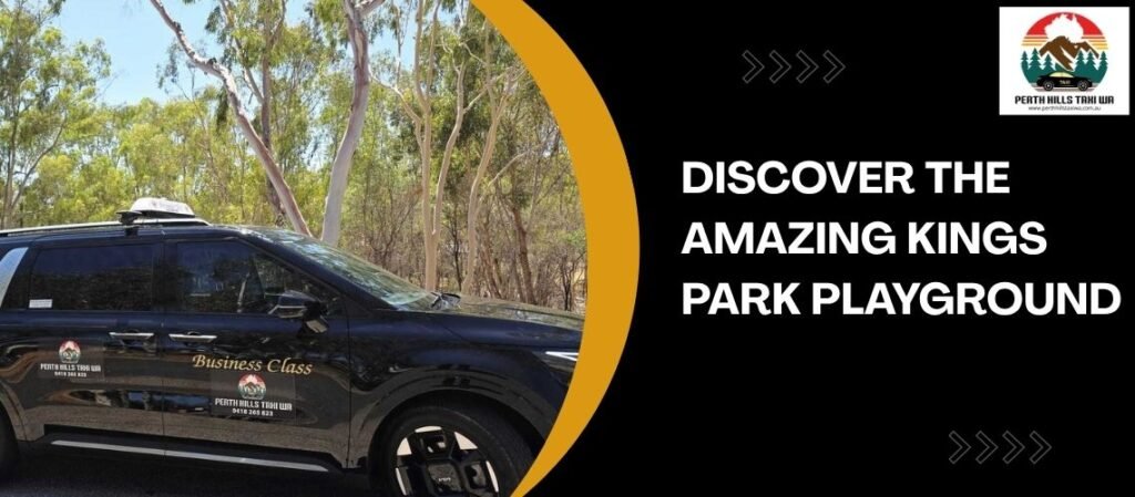 Discover the Amazing Kings Park Playground